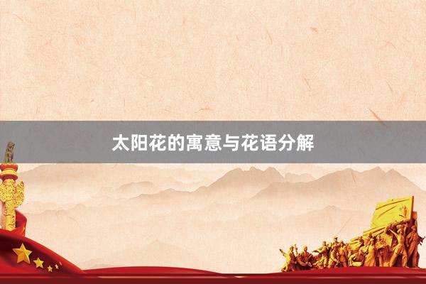 太阳花的寓意与花语分解