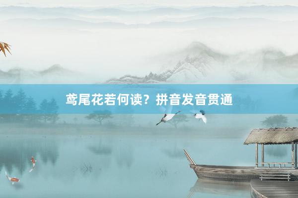 鸢尾花若何读？拼音发音贯通