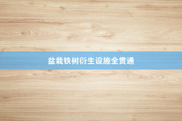 盆栽铁树衍生设施全贯通