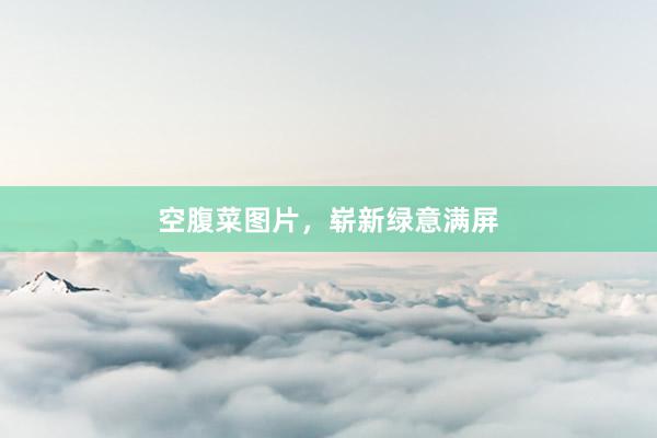 空腹菜图片，崭新绿意满屏