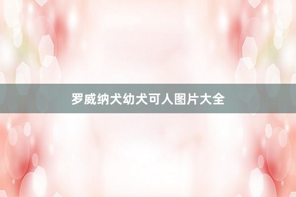 罗威纳犬幼犬可人图片大全