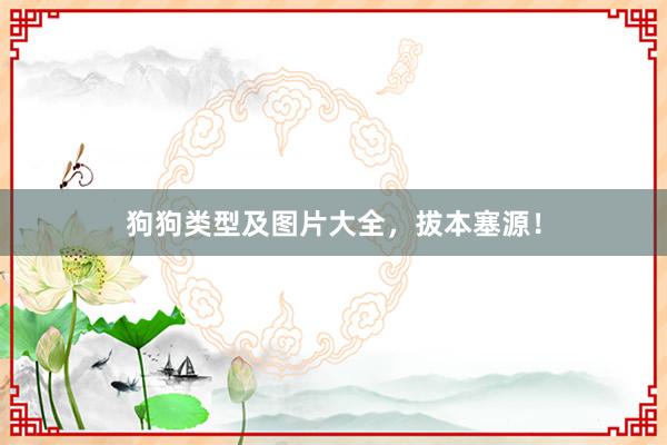 狗狗类型及图片大全，拔本塞源！