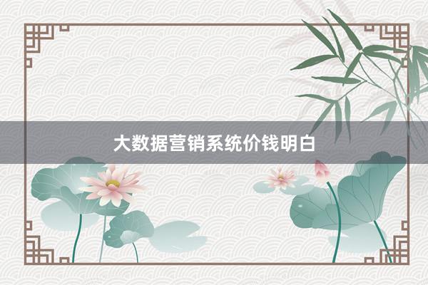 大数据营销系统价钱明白
